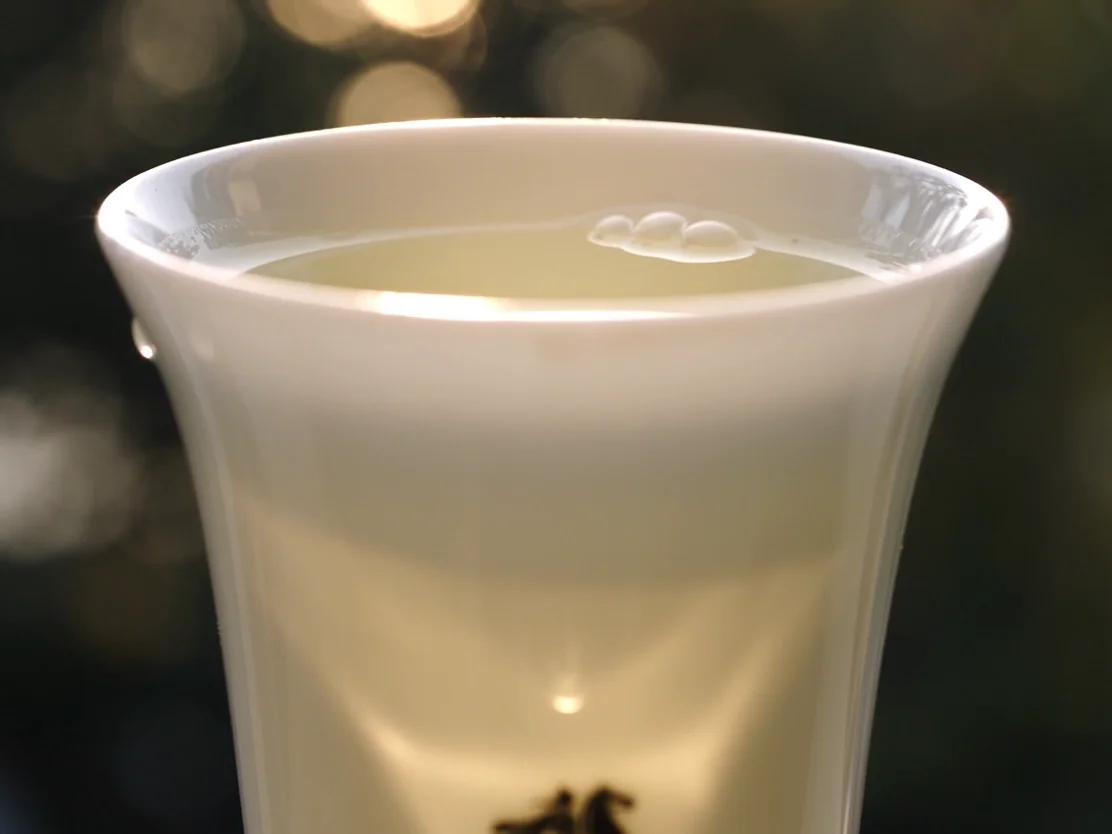 琥珀色的茶汤，老白茶的转化，老茶白皮书第七章封面