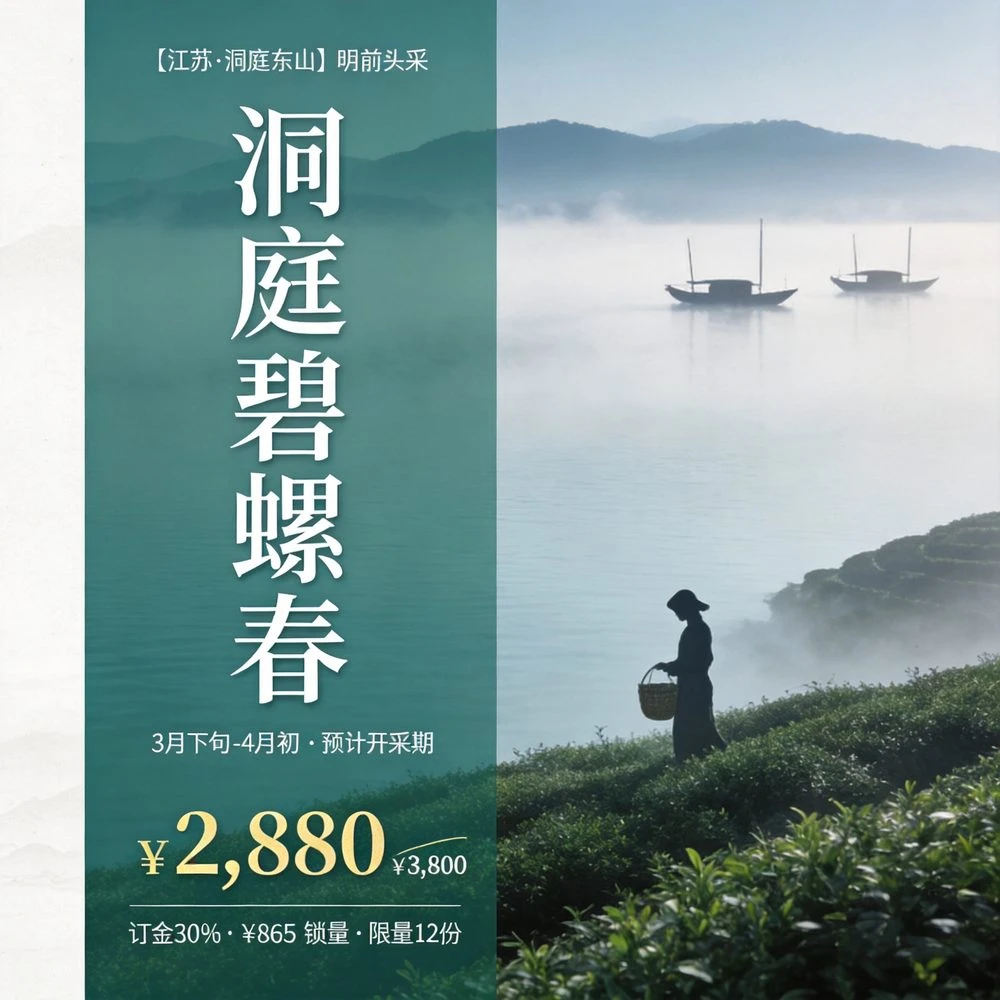 头采预订|洞庭碧螺春·东山头采特级一等 250g礼盒